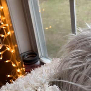 Meet your Posher, Brooklyn